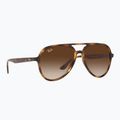 Okulary przeciwsłoneczne Ray-Ban RB4376 havana/brown gradient