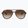 Okulary przeciwsłoneczne Ray-Ban RB4376 havana/brown gradient 2