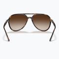 Okulary przeciwsłoneczne Ray-Ban RB4376 havana/brown gradient 5
