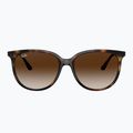 Okulary przeciwsłoneczne Ray-Ban RB4378 havana/brown gradient 2