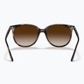 Okulary przeciwsłoneczne Ray-Ban RB4378 havana/brown gradient 3