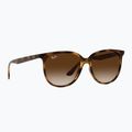 Okulary przeciwsłoneczne Ray-Ban RB4378 havana/brown gradient 5