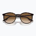 Okulary przeciwsłoneczne Ray-Ban RB2204 havana/light brown 3