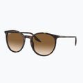 Okulary przeciwsłoneczne Ray-Ban RB2204 havana/light brown 4
