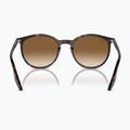 Okulary przeciwsłoneczne Ray-Ban RB2204 havana/light brown 5