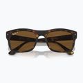 Okulary przeciwsłoneczne Ray-Ban RB4428 havana matt/brown polarized 3
