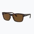 Okulary przeciwsłoneczne Ray-Ban RB4428 havana matt/brown polarized 4
