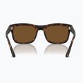 Okulary przeciwsłoneczne Ray-Ban RB4428 havana matt/brown polarized 5