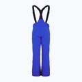 Spodnie narciarskie męskie EA7 Emporio Armani Pantaloni 6RPP27 new royal blue 2
