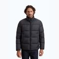Kurtka męska Kurtka Woolrich Cloud Eagle falcon