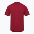 Koszulka męska Aeronautica Militare Essential burgundy 2