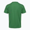 Koszulka męska Aeronautica Militare TS1580UJ00372 verdant green 2