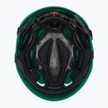 Kask wspinaczkowy Climbing Technology Galaxy green/pink 5