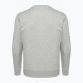 Bluza męska Champion Rochester grey 2