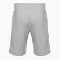 Spodenki męskie Champion Rochester grey 2