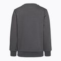 Bluza dziecięca Champion Legacy dark/grey 2