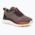 Buty męskie Geox wine/dark coffee