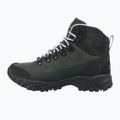Buty trekkingowe damskie CMP Dhenieb Wp piombo 3