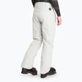 Spodnie narciarskie męskie EA7 Emporio Armani Ski Cortina Toray quiet gray 2