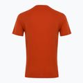 Koszulka męska EA7 Emporio Armani Visibility Cotton Crew rooibos tea 2