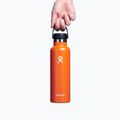 Butelka termiczna Hydro Flask Standard Flex Straw 620 ml mesa 4