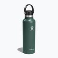 Butelka termiczna Hydro Flask Standard Flex 620 ml fir 2