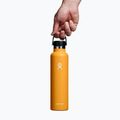 Butelka termiczna Hydro Flask Standard Flex Cap 710 ml fossil 3