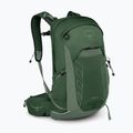 Plecak turystyczny męski Osprey Talon 22 l green canopy/pine leaf 2