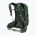 Plecak turystyczny męski Osprey Talon 22 l green canopy/pine leaf 4