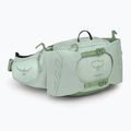 Saszetka nerka damska Osprey Tempest 6 l frosty mint/green botanica