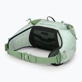 Saszetka nerka damska Osprey Tempest 6 l frosty mint/green botanica 2