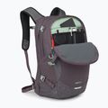 Plecak miejski Osprey Nebula 32 l graphite/purple heather 4