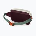 Saszetka nerka Osprey Transporter Waist Pack 3 l mystery white/moody burgundy 3