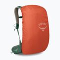 Plecak turystyczny męski Osprey Stratos 24 l pine leaf 5
