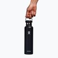 Butelka termiczna Hydro Flask Standard Flex Cap 710 ml black 5