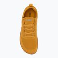 Buty barefoot męskie Xero Shoes Nexus Knit gold 5