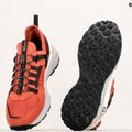 Buty męskie Jack Wolfskin Dromoventure Athletic Low barn red 12