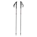 Kije skiturowe Völkl TOURISTICK CC czarne 141030