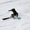 Narty zjazdowe Völkl Peregrine 82 + wiązania Lowride 13 FR 12