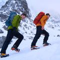 Kurtka softshell męska Rab Borealis aspen green 16