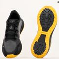 Buty do biegania męskie PUMA Fast-Trac Nitro puma black/granola/fresh pear 22