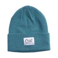 Czapka zimowa Coal The Mel green 4