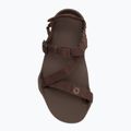 Sandały barefoot męskie Xero Shoes Z-Trek brown 5