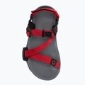 Sandały barefoot dziecięce Xero Shoes Z-Trail charcoal/red pepper 5