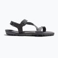 Sandały barefoot męskie Xero Shoes Z-Trail EV steel gray/asphalt