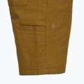 Spodenki męskie Royal Robbins Half Dome coyote 4
