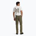 Spodnie męskie Royal Robbins Wilder everglade 3