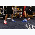 Buty bokserskie Rival RSX-Prospect white/blue 7
