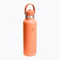 Butelka termiczna Hydro Flask Standard Flex Straw 620 ml nectar 2
