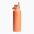Butelka termiczna Hydro Flask Standard Flex Straw 620 ml nectar